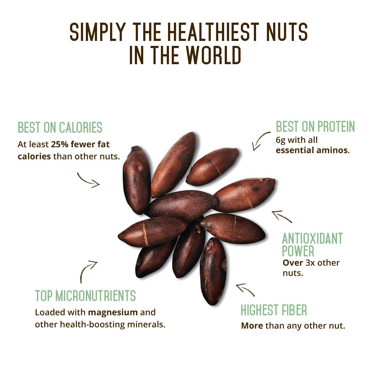 Barùkas are a superfood nut from the Brazilian savanna, packed with nutrients and antioxidants. Known for their unique taste, similar to a blend of almonds and peanuts, Barùkas are sustainably harvested and free from chemicals and GMOs. They offer numerous health benefits, including high protein and fiber content, and support fair trade practices and environmental sustainability.