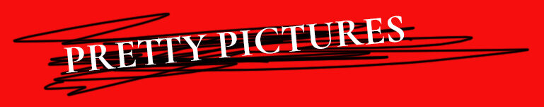 pretty-pictures-header